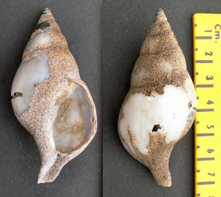 &copy; Thijs de Boer